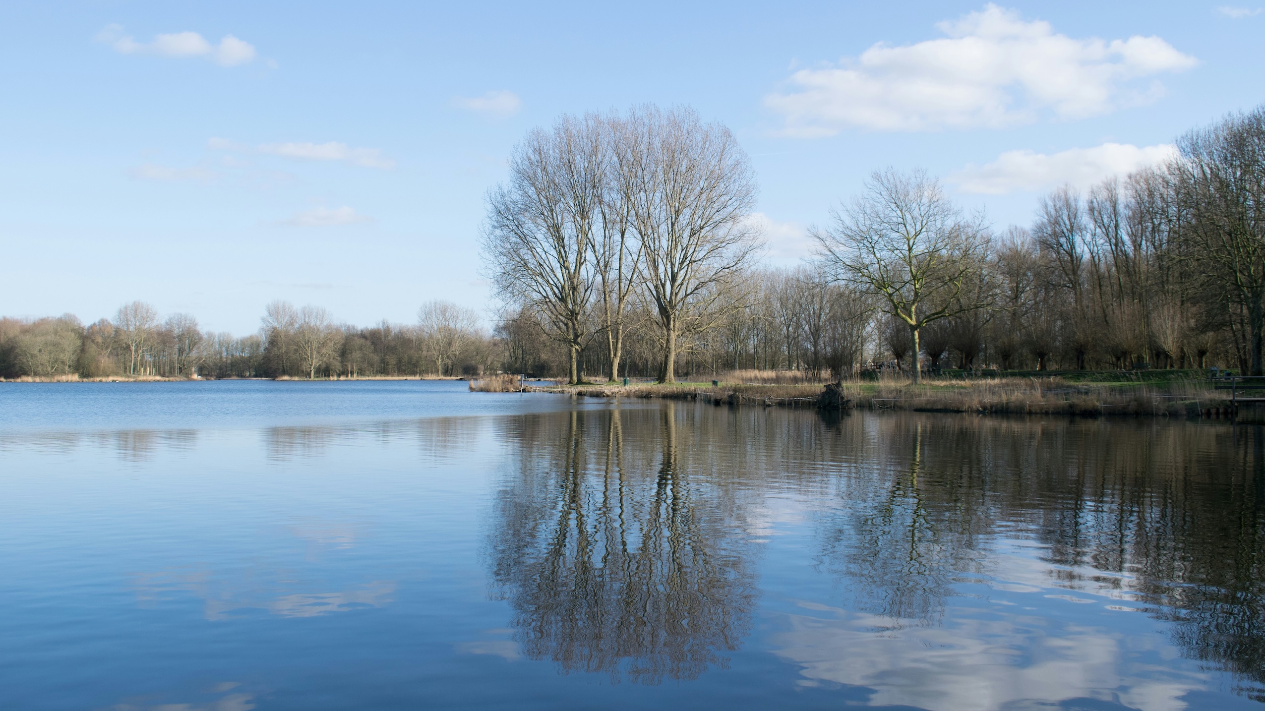 Delftse Hout biodiversiteit 